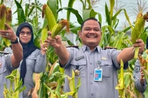 Lapas Palangka Raya Tunjukkan Komitmen pada Ketahanan Pangan Nasional dengan Panen Jagung 70 Kg