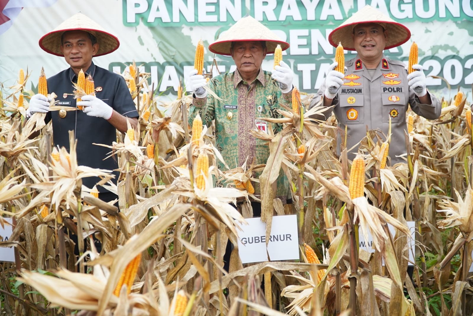 Wagub Abdullah Sani Dukung Panen Raya Jagung Polda Jambi untuk Perkuat Swasembada Pangan Nasional