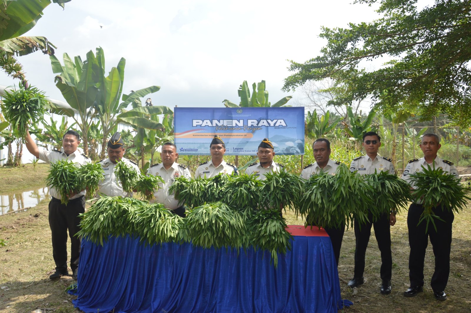 Dukung Ketahanan Pangan, Lapas Narkotika Muara Sabak Gelar Panen Raya Hasil Karya Warga Binaan