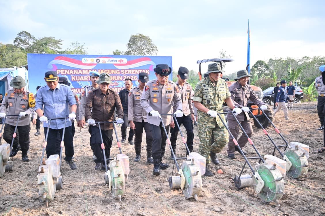 Kapolda Jambi Krisno Siregar tanam jagung serentak dukung swasembada pangan.