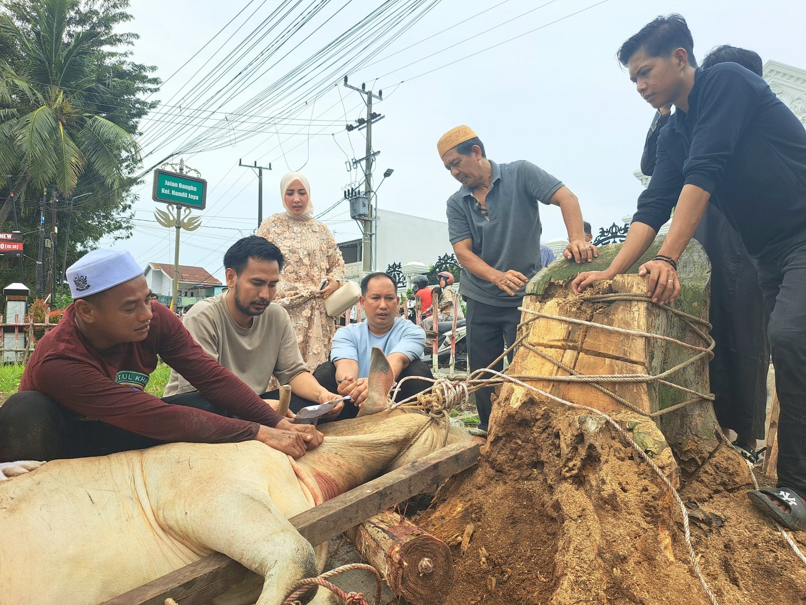 Sinergi Kebaikan: Momen Ade Erlanda dan Nur Apriyanti Menebar Manfaat di Hari Raya Kurban