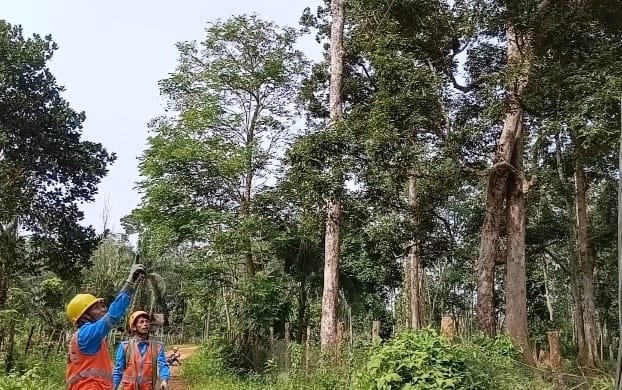 alt="Pekerja PLN bernama Supriadi bersama tim sedang menyambung kembali instalasi kabel 50 meter yang sempat dicuri"