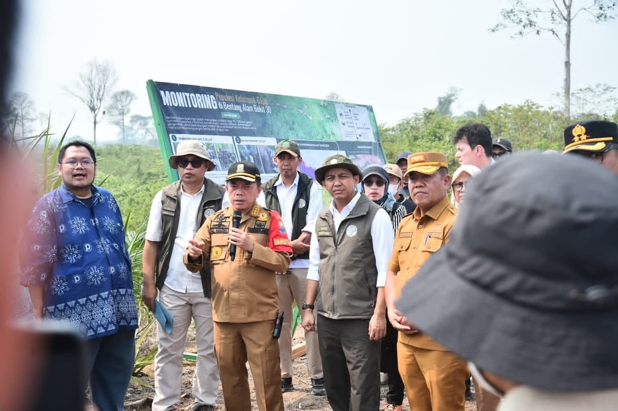 Al Haris dan Raja Juli Antoni meninjau konservasi gajah di Tebo