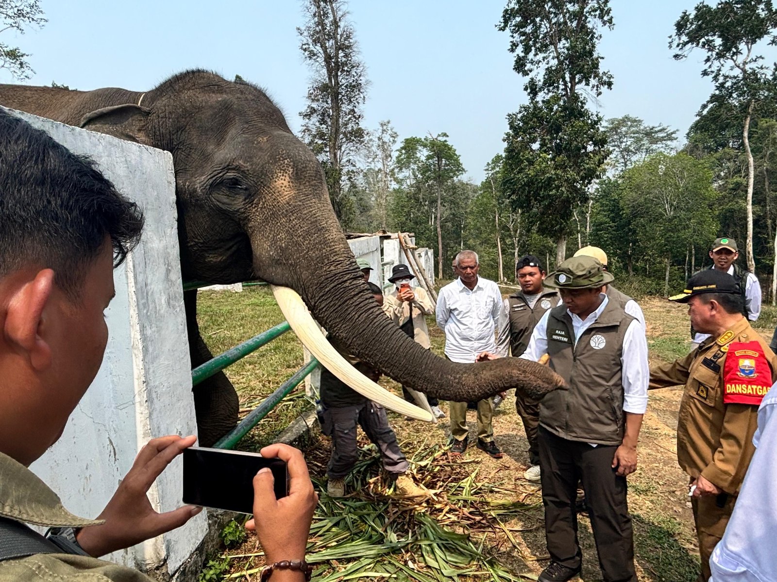 Menteri Kehutanan Raja Juli Antoni dan Gubernur Jambi Al Haris meninjau konservasi Gajah Sumatra di Tebo